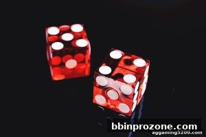 AG真人 bbinprozone
